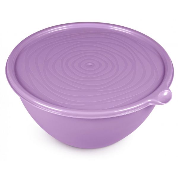 Plastic bowl "Ricci" 2l, d23cm, h10cm, purple, with lid