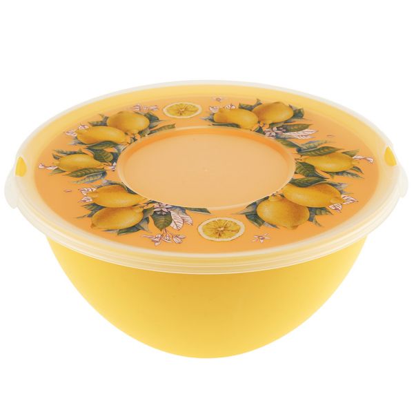 Plastic salad bowl "Fresh" 4l, d28cm, h13cm, with lid