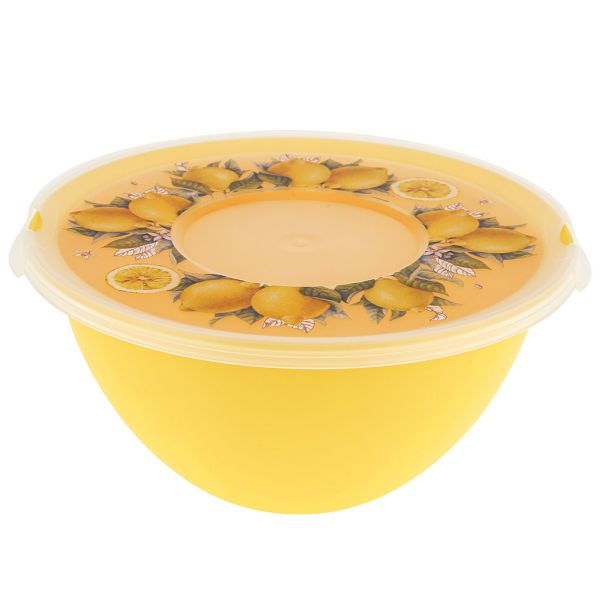 Plastic salad bowl "Fresh" 2l, d20cm, h19cm, with lid