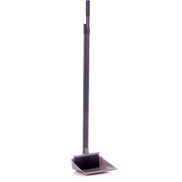 Set "Practician" floor brush with a dustpan with an edge on a high handle SV3865